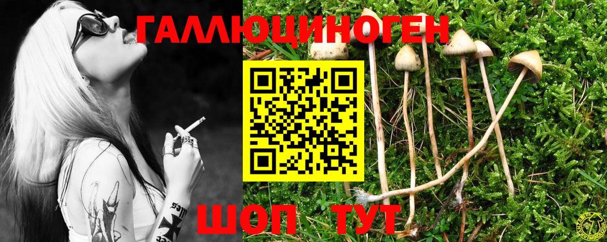 Родники  Галлюциногенные грибы прущие грибы  Вход с VPN  Псилоцибиновые грибы Cubensis 