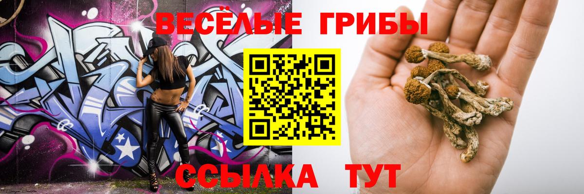 Галлюциногенные грибы мухоморы Родники